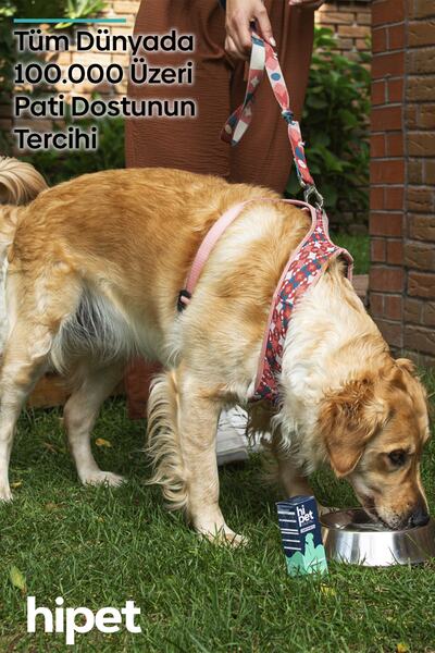 HiPet Sıvı Probiyotik Köpek Probiyotik 50 ml