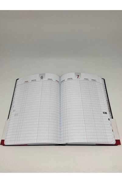 Gıpta Commercial Safe Agency 17x24 111-tck