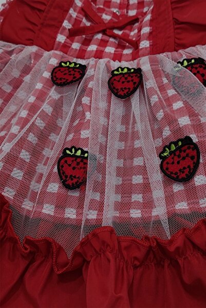 feyzamavm Kız Bebek Çilekli Tüllü Elbise