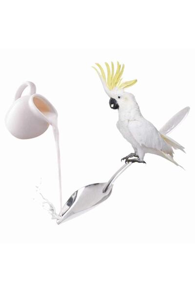 KUZELA Petdünyam Papağan Elle Besleme Kaşığı