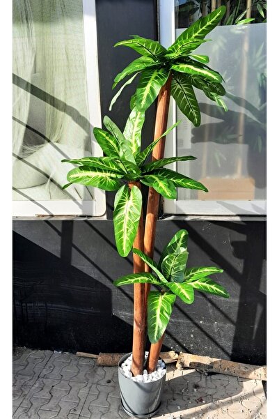 YEŞİLADA Yapay Difenbahya Ağacı 3 Gövdeli 1.80 Mt Boy Islak Doku Büyük Yeşil Yapraklı Ağaç