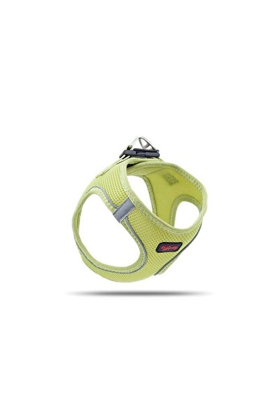 Tailpetz Airmesh طوق كلب صغير من السلالات باللون الأخضر الزيتوني