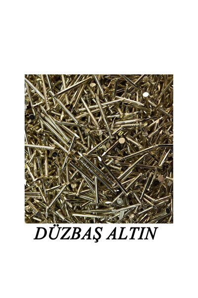 PAKCAM FİLOGRAFİ Filografi Çivisi Düzbaş Altın 500 Gr.