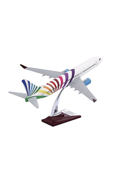 zekupp - Maket Uçak - Boeing 737-800 1/100 - Renkli Özel Tasarım Model Uçak