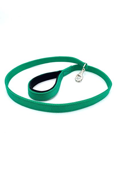 Tasma Market Green Column Dog Walking Collar