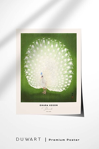 DUWART Premium Çerçevesiz Poster Ohara Koson Peacock Poster Japon Sanatı Post...