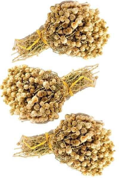 AEDEN 3 Adet Üzerlik Otu Bağ