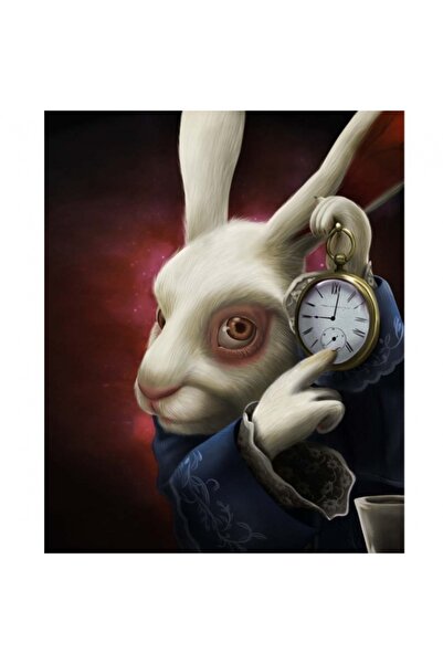 Genel Markalar Sayılarla Boyama Seti Kasnaklı Alıce Beyaz Tavşan 40 X 50 Cm