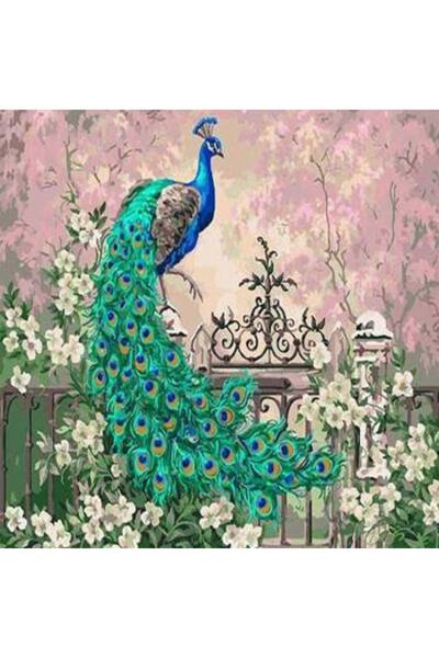 Genel Markalar Sayılarla Boyama Seti Çerçeveli Kasnaklı Tavus Kuşu  40 x 50 cm