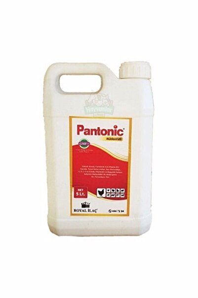 Royal Pantonic 5 Lt Kanatlılarda Yumurta Verim Artışını Ve Bağışıklığı Destek...