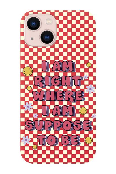 shoptocase Iphone 14 Uyumlu Dama Smile Tasarımlı Içi Süet Lansman Telefon Kılıfı