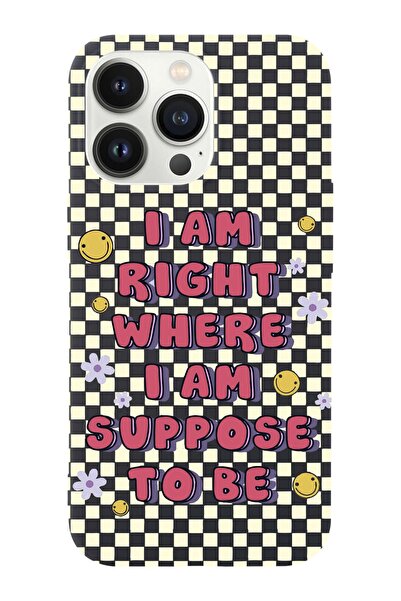 shoptocase Iphone 14 Pro Max Uyumlu Dama Smile Tasarımlı Içi Süet Lansman Tel...