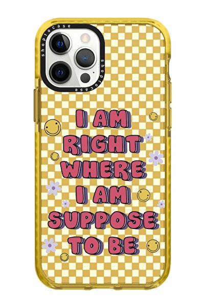 shoptocase Iphone 13 Pro Uyumlu Hardal Impact Dama Smile Tasarımlı Telefon Kı...