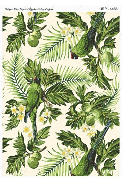 Rich Pirinç Dekopaj Kağıdı | Kod 4486 Unıq Serisi