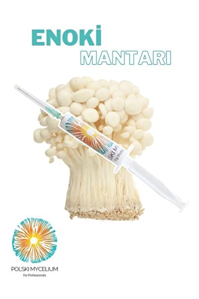 Polski Mycelium Enoki Mantarı Sıvı Miseli (tohumu) 5 Ml, Misel Ve Kompost Üretmek Için Ana Kültür