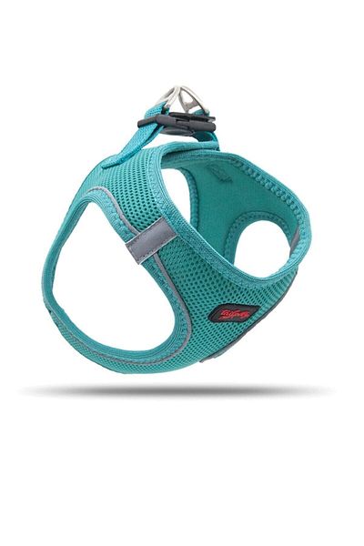 Tailpetz Airmesh Small Breed Dog Collar Emerald Green