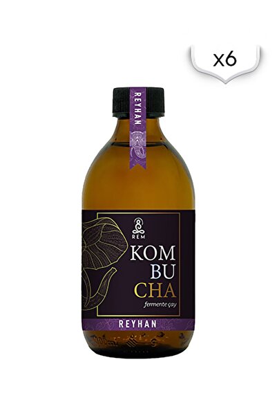 REM Kombucha Reyhan 300 ml X 6 Adet