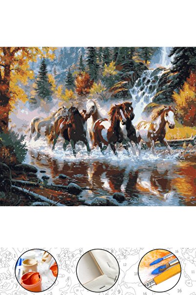 abbara Sayılarla Boyama Hobi Seti Çerçeveli Numaralı Tuval Fırça Boya Dahil Kasnaklı 40x50 Cm