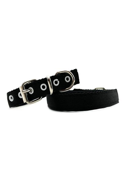 Tasma Market Black Soft Textured Column Dog Collar