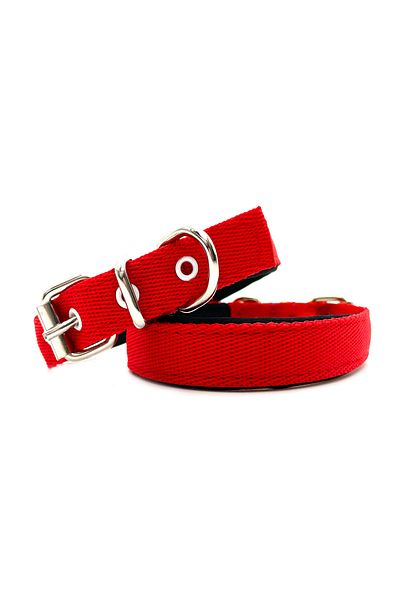 Tasma Market Red Soft Textured Small Breed and Puppy Column Dog Collar
