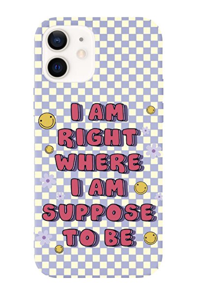 shoptocase Iphone 12 Uyumlu Dama Smile Tasarımlı Premium Lansman Telefon Kılıfı