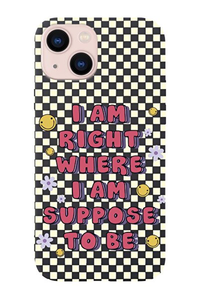 shoptocase Iphone 13 Uyumlu Dama Smile Tasarımlı Premium Lansman Telefon Kılıfı