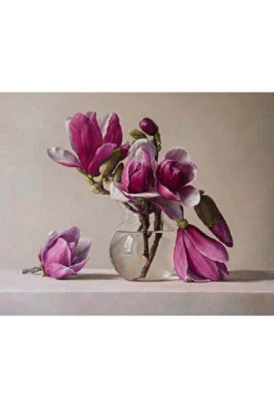 Genel Markalar Sayılarla Boyama Seti Kasnaklı Manolyalar 40 X 50 Cm