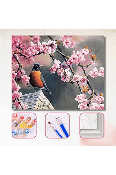 kendinyaphobi Sayılarla Boyama Seti Çerçeveli Kasnaklı Pembe Bahar  40 x 50 cm