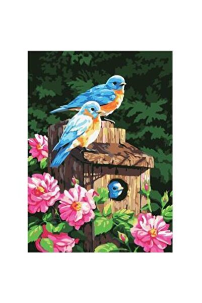 kendinyaphobi Sayılarla Boyama Seti Kasnaklı Muhabbet Kuşları 40 X 50 Cm