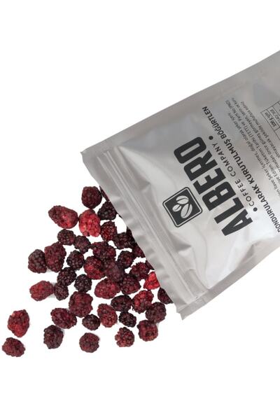 ALBERO 35 جرام بلاك بيري مجفف بالتجميد