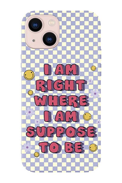 shoptocase Iphone 14 Uyumlu Dama Smile Tasarımlı Içi Süet Lansman Telefon Kılıfı