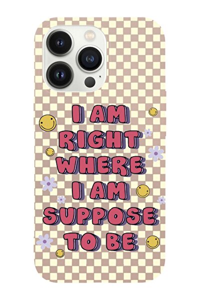 shoptocase Iphone 14 Pro Max Uyumlu Dama Smile Tasarımlı Içi Süet Lansman Tel...