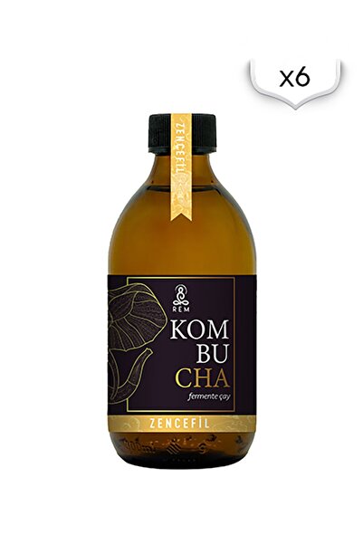 REM Kombucha Zencefil 300 Ml X 6 Adet