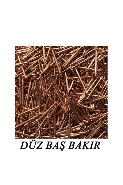 PAKCAM FİLOGRAFİ Filografi Çivisi Düzbaş Bakır Kaplama 500 Gr.