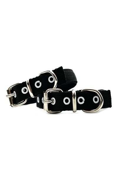 Tasma Market Black Soft Textured Column Dog Collar
