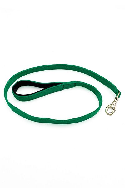 Tasma Market Green Column Dog Walking Collar