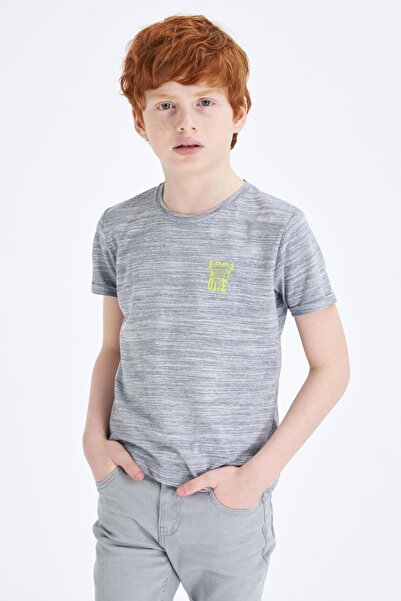 DeFacto Boy's Crew Neck Printed Pocketless Single Short Sleeve Short Sleeve T...