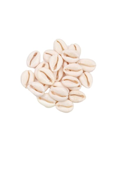 RLX BUJİTERİ Scoici 30 bucăți