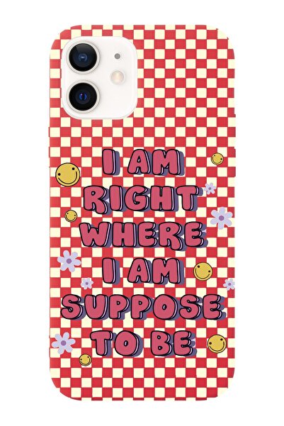 shoptocase Iphone 12 Uyumlu Dama Smile Tasarımlı Premium Lansman Telefon Kılıfı