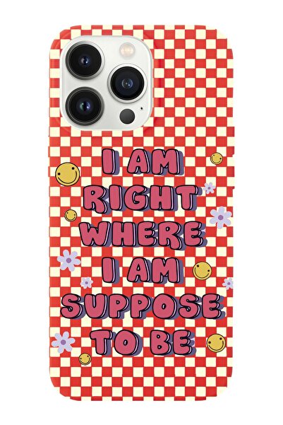 shoptocase Iphone 14 Pro Max Uyumlu Dama Smile Tasarımlı Içi Süet Lansman Tel...