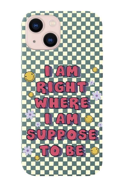 shoptocase Iphone 14 Uyumlu Dama Smile Tasarımlı Içi Süet Lansman Telefon Kılıfı