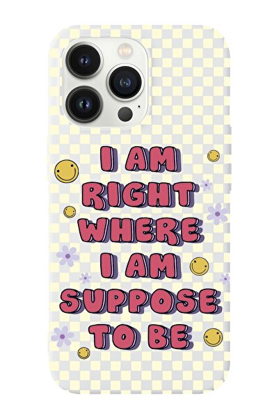 shoptocase Iphone 14 Pro Uyumlu Dama Smile Tasarımlı Içi Süet Lansman Telefon...