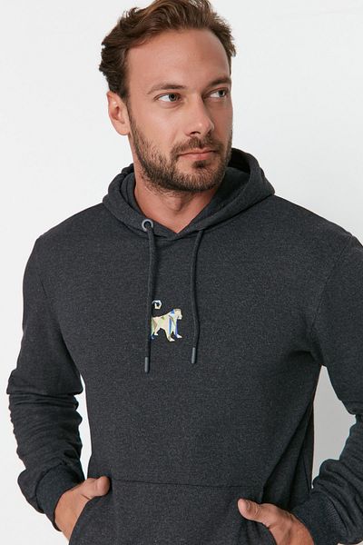 Trendyol Collection Anthrazitfarbenes Sweatshirt mit Kapuze und Fleece-Stickerei – Regular Fit TMNAW23SW00193