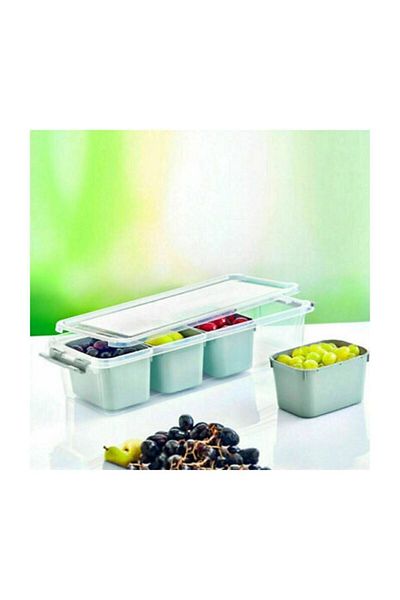HOBBY LİFE Grand Compartmented Storage Container