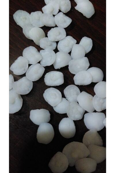 Eşkina Balık Taşı 10 Adet