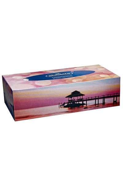 alouette 100 Paper Tissues
