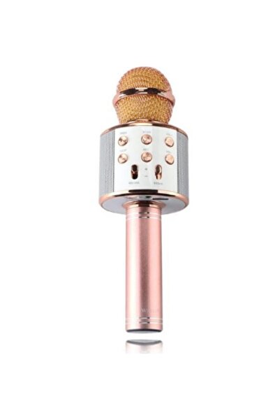 HandHeld Karaoke Mikrofon
