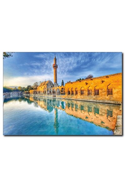 La Vita e Bella Urfa Balıklıgöl Kanvas Tablo Ty-1023
