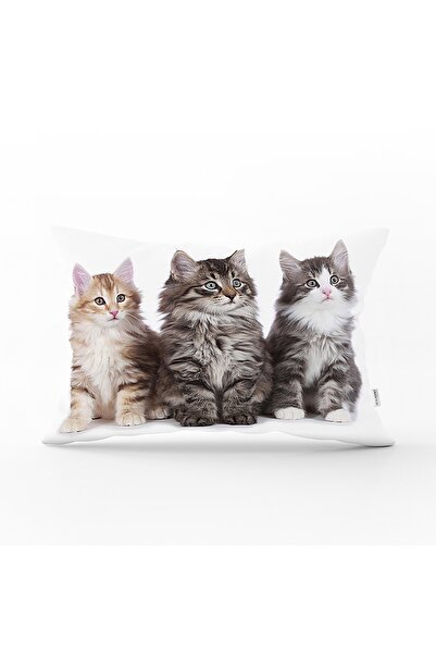Realhomes Cute Cats Model Digital Printed Modern Rectangular Perna Throw Pern...