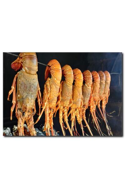 La Vita e Bella Istakoz Kanvas Tablo Dz-1041